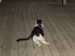 La Réunion au quotidien